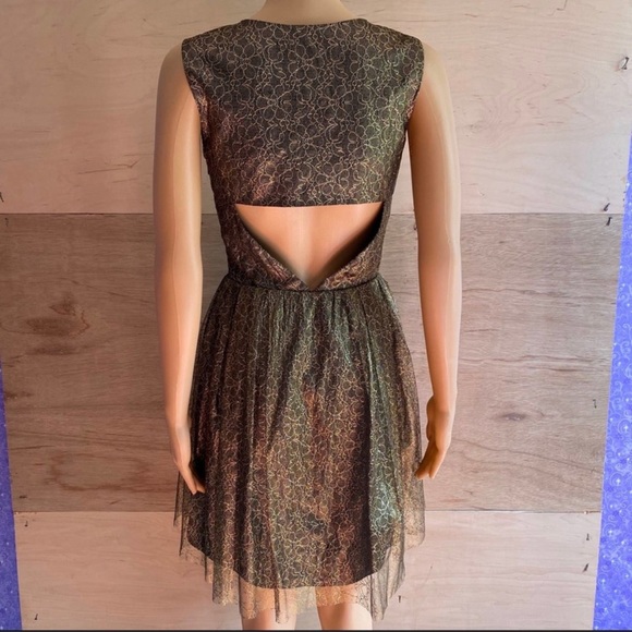 Erin Fetherston Gold Lace Floral Dress - Picture 6 of 10